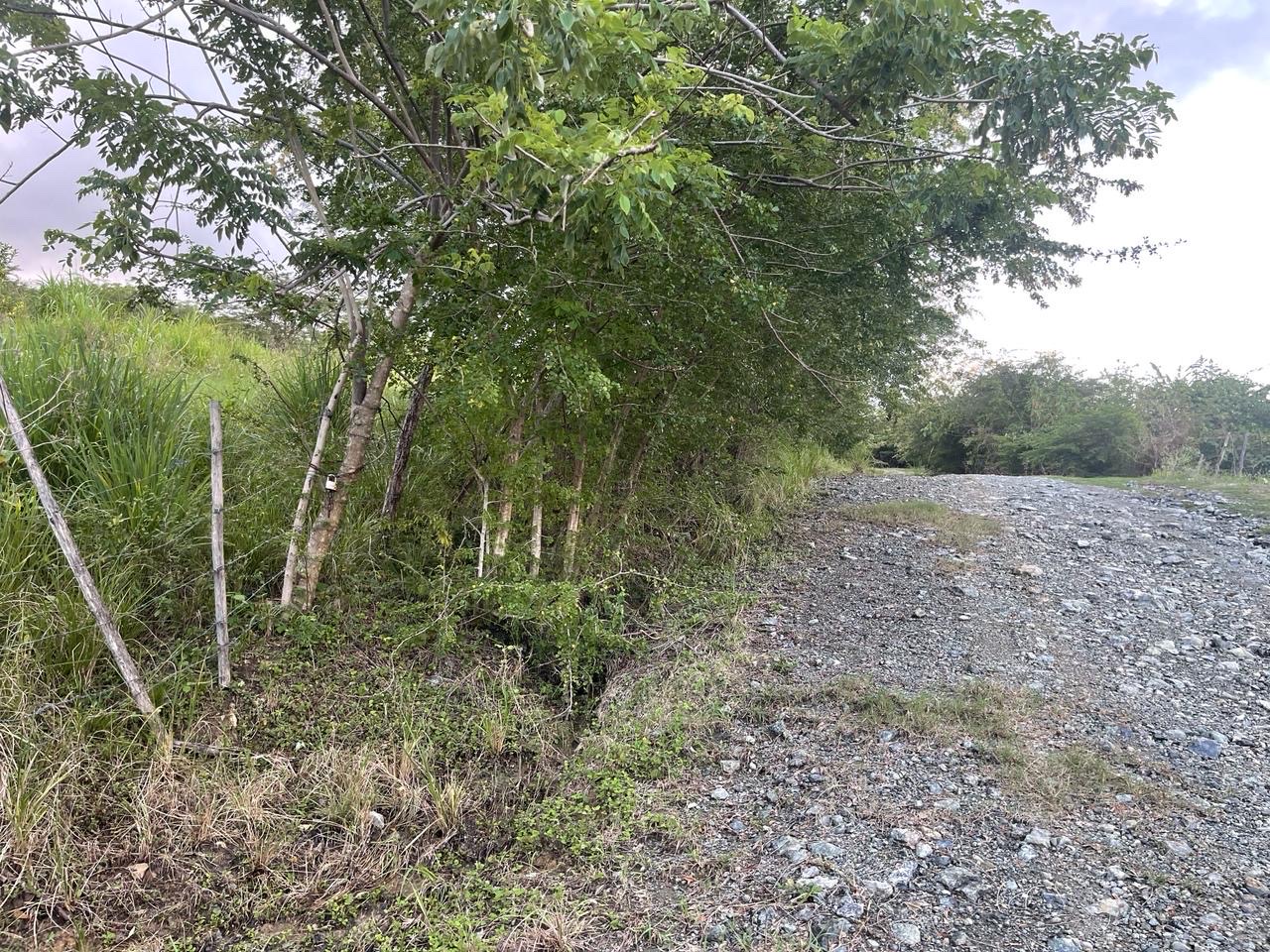 solares y terrenos - Se vende solar en la comunidad de camu, puerto plata  4