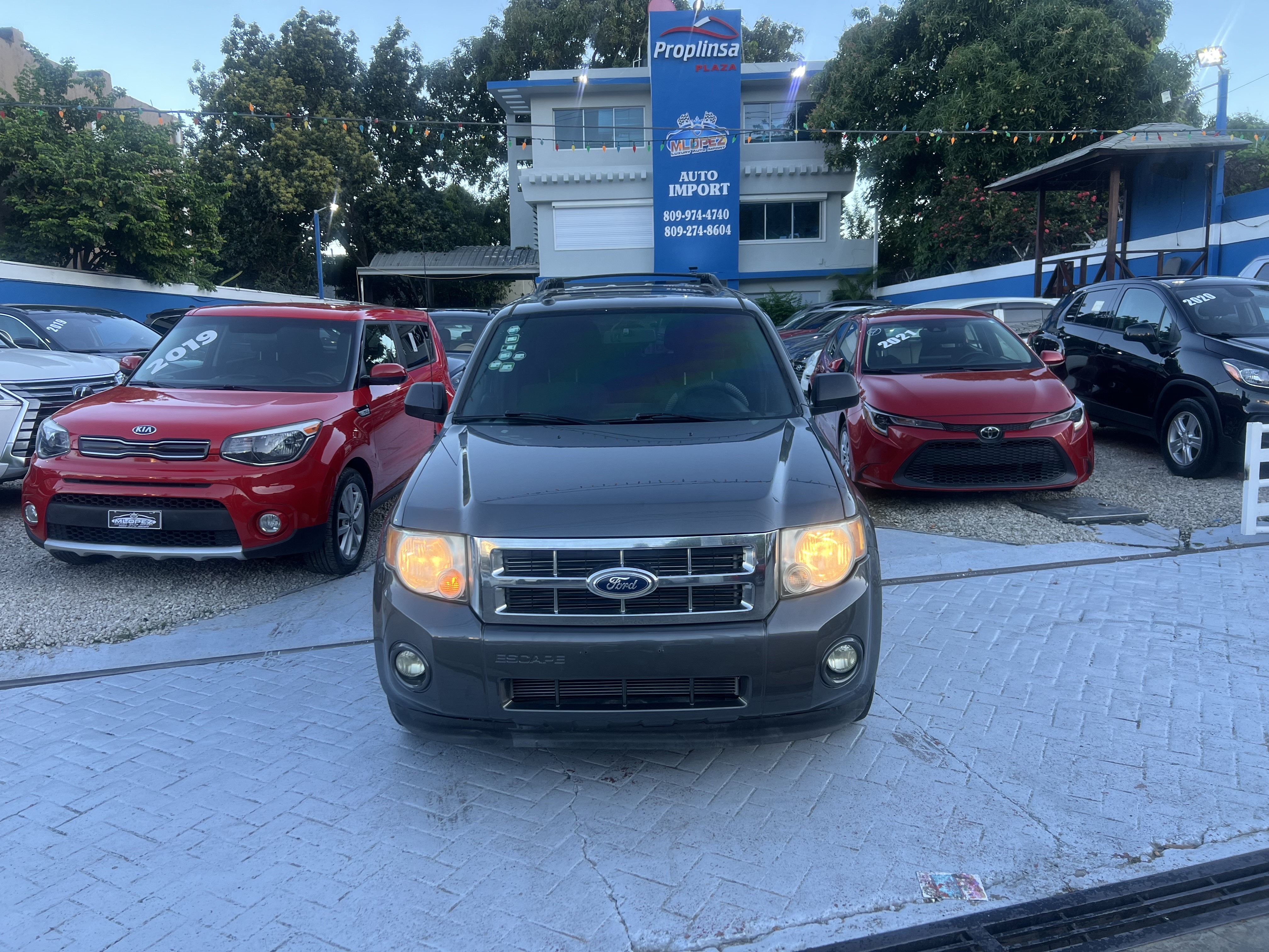 jeepetas y camionetas - Ford Escape 2011 XLT V6 1