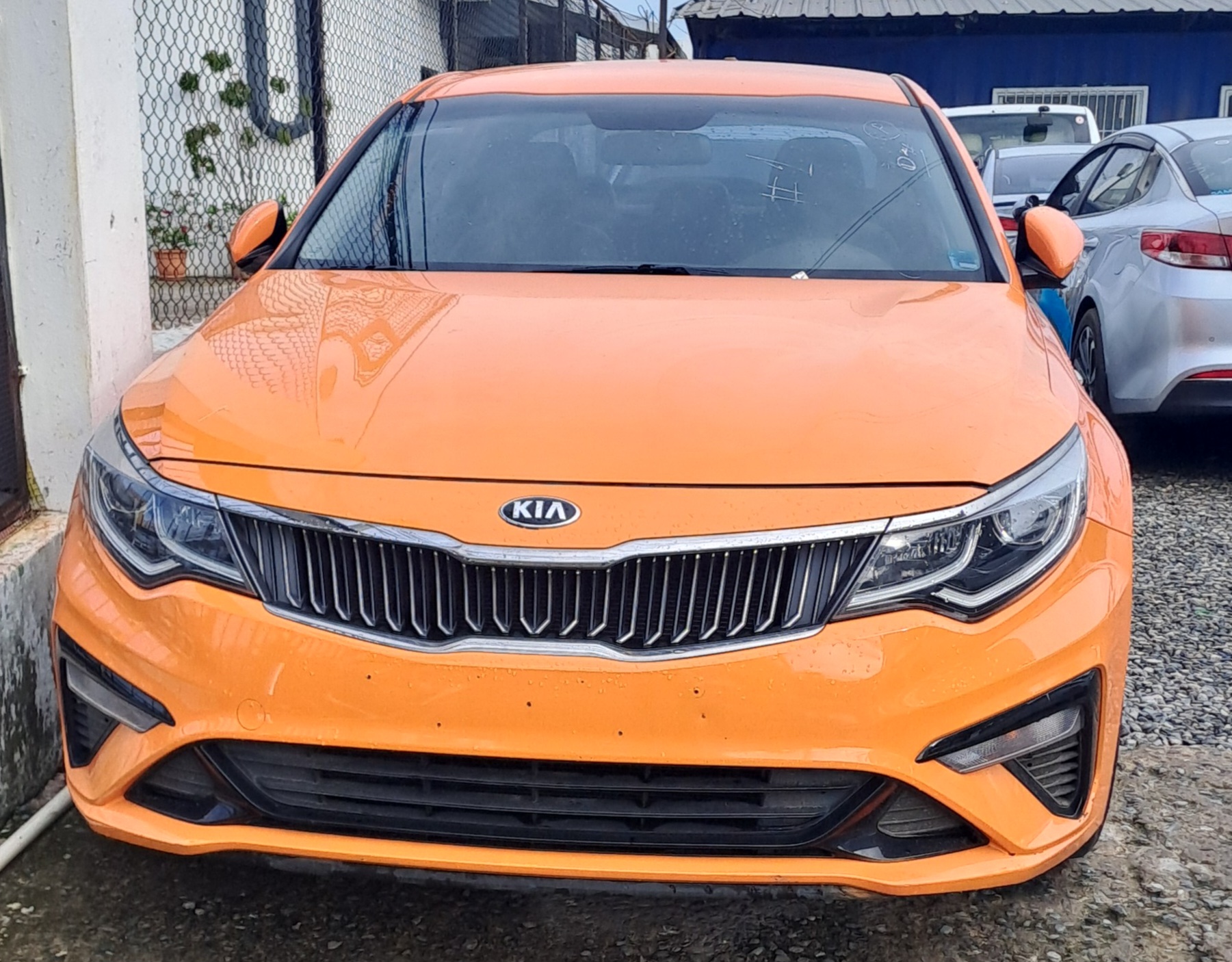 carros - KIA K5 2019 MAMEY