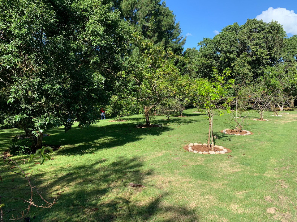 solares y terrenos - FINCA EN RANCHO ARRIBA, YABACOA, PIEDRA BLANCA, BO